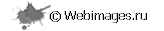 Webimages.ru - Создание и разработка веб-сайтов